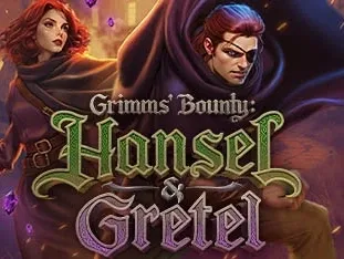 Grimms' Bounty_ Hansel & Gretel game cover